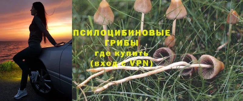 MEGA ссылка  Салават  Галлюциногенные грибы Cubensis  даркнет сайт 